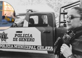 Ejecutan a jefa de la Policía de Género en Celaya: Esto se sabe VIDEO