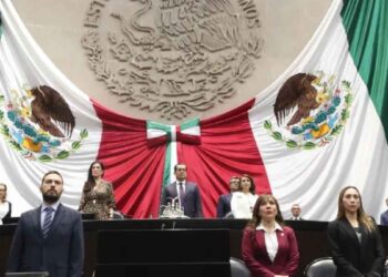 Cámara de Diputados Ana Carolina