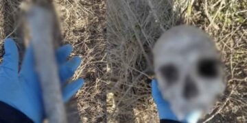 colectivo fosa clandestina Reynosa