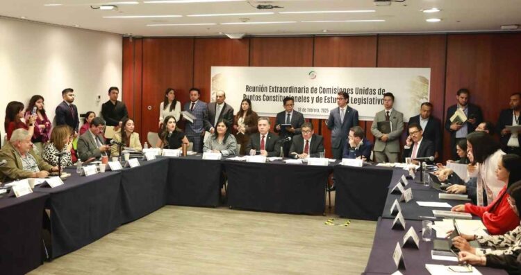 comisiones senado reelección nepotismo