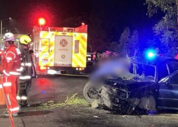 Conductor choca contra un árbol en Zapopan, Jalisco; hay un muerto