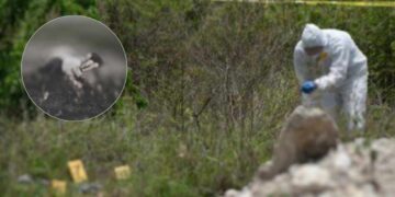 Confirma CFE que cuatro personas halladas sin vida en Oaxaca eran sus trabajadores