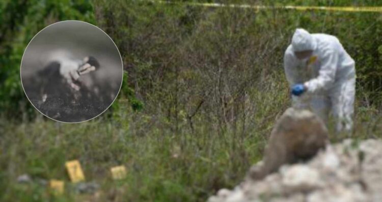 Confirma CFE que cuatro personas halladas sin vida en Oaxaca eran sus trabajadores