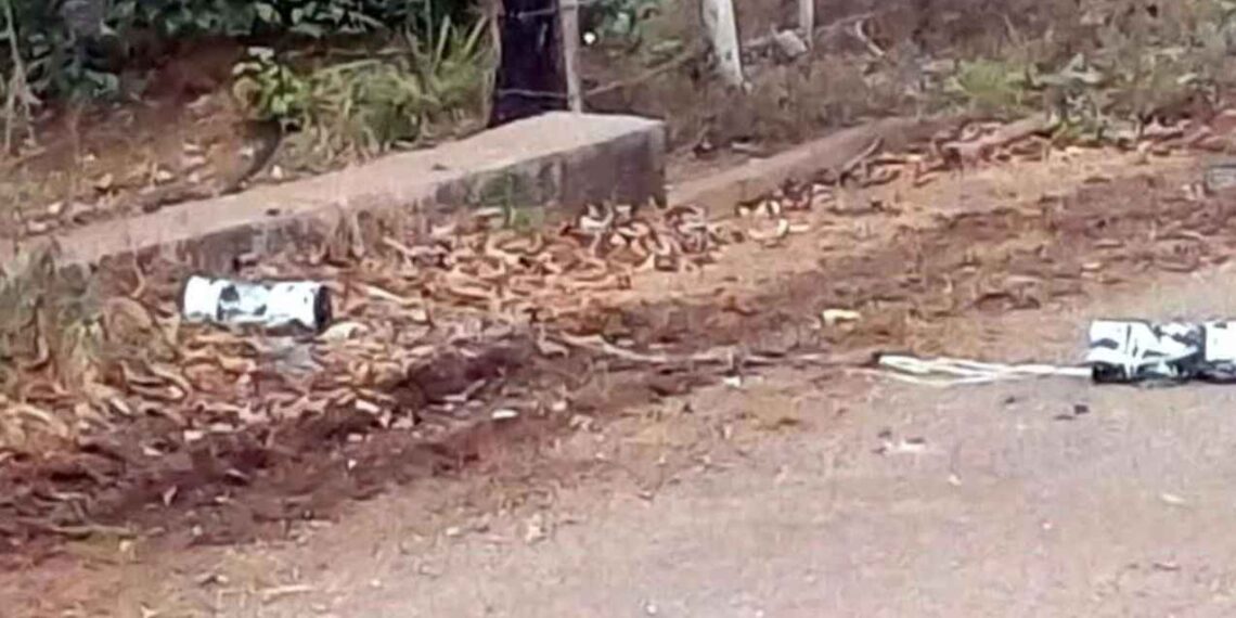 Cortadores limón minas Michoacán