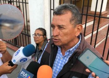 Delfín en estado de descomposición aparece en Playa Tesoro, Altamira