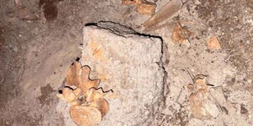 Descubren restos humanos en una cisterna en Reynosa, Tamaulipas