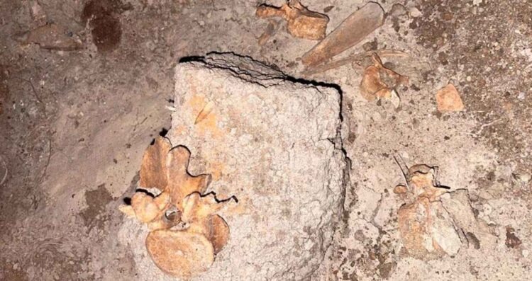 Descubren restos humanos en una cisterna en Reynosa, Tamaulipas