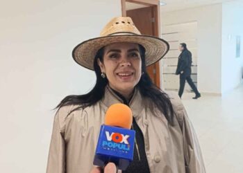 Diputada del PAN critica carencias del IMSS-Bienestar en Tamaulipas