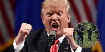 Trump eliminación total cárteles
