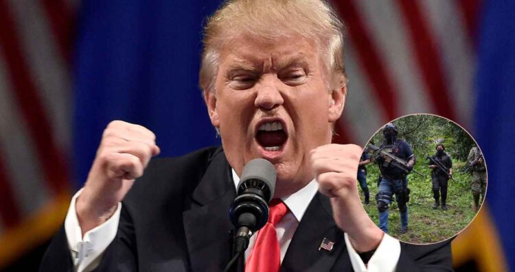 Trump eliminación total cárteles