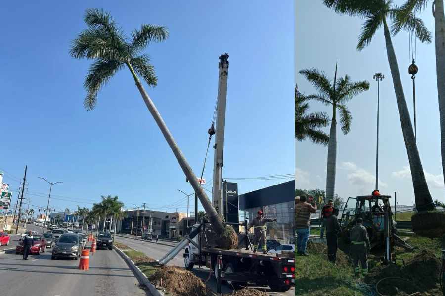 El gobierno de Tampico mejora la movilidad con nuevas obras viales