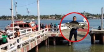 Encuentran sin vida a Roberto, buzo golpeado por una lancha en Veracruz