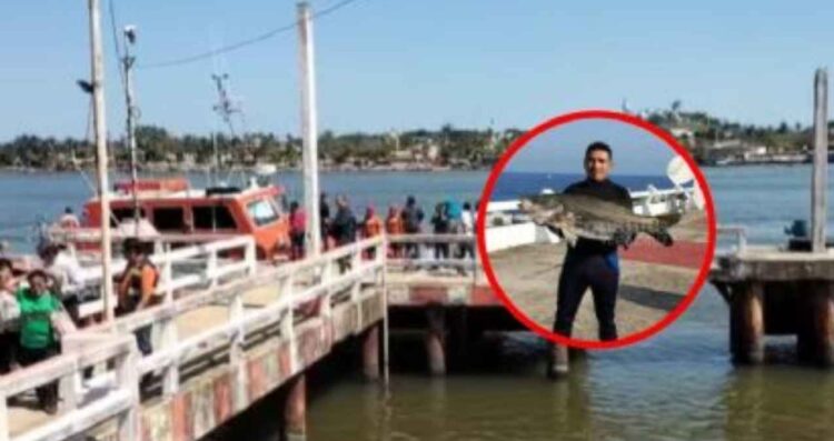 Encuentran sin vida a Roberto, buzo golpeado por una lancha en Veracruz