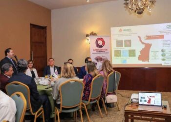 Es Tamaulipas el estado con mayor capacidad eléctrica