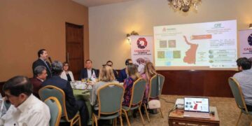 Es Tamaulipas el estado con mayor capacidad eléctrica