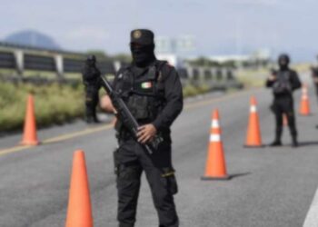Destacan buenos resultados en Nuevo León de Operativo Muralla