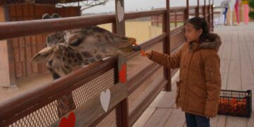 Familias celebran el Día del Amor y la Amistad en el Zoológico de Nuevo Laredo, Tamaulipas
