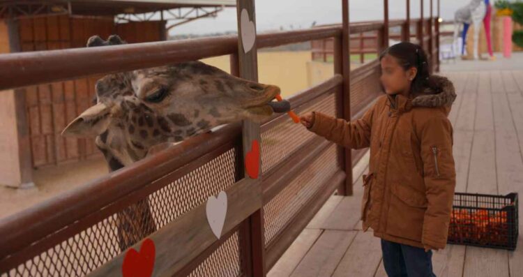 Familias celebran el Día del Amor y la Amistad en el Zoológico de Nuevo Laredo, Tamaulipas