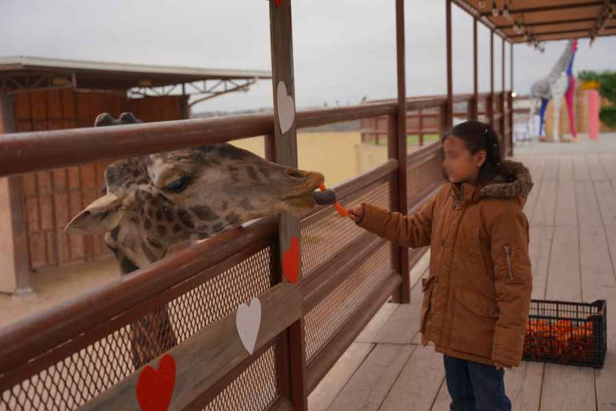 Familias celebran el Día del Amor y la Amistad en el Zoológico de Nuevo Laredo, Tamaulipas