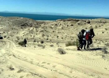 Familias restos humanos Sonora
