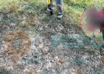 Felino salvaje vuelve a atacar a animales de ejidos cercanos a Ciudad Victoria