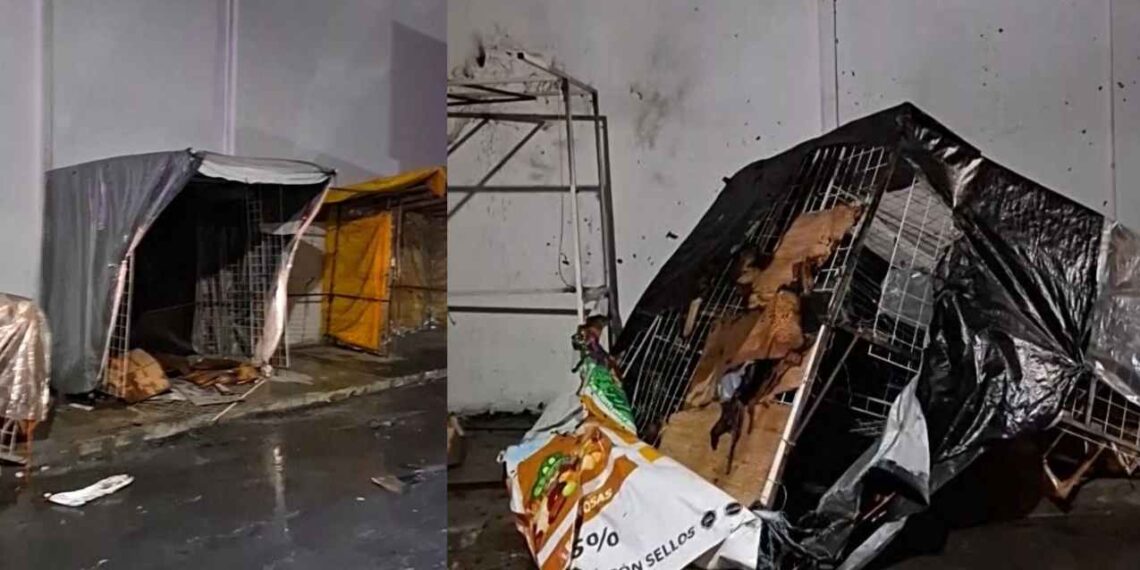 Incendio consume puestos Victoria