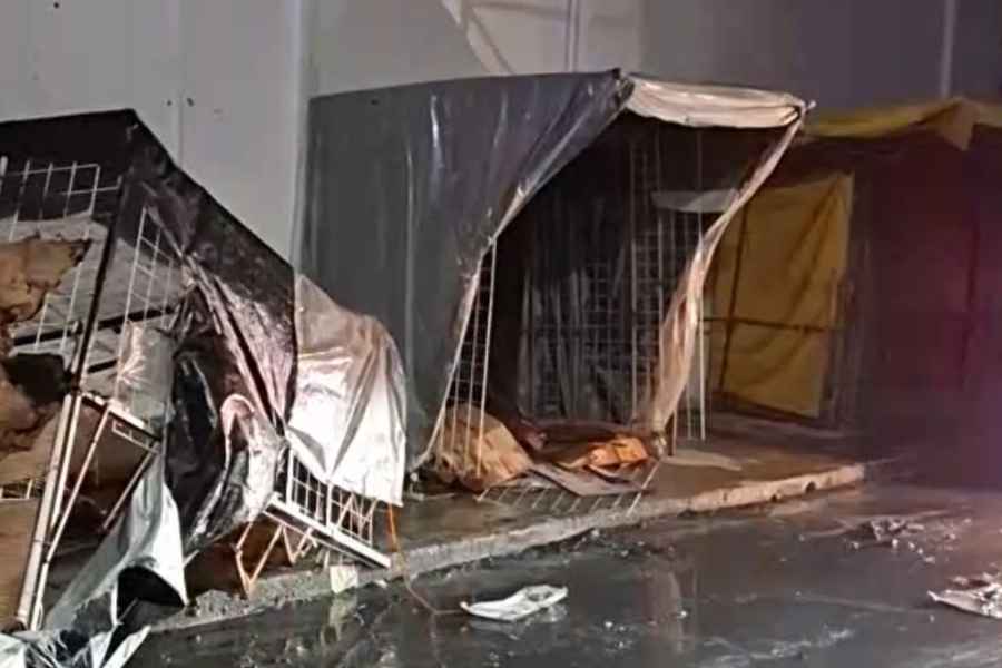 Incendio consume puestos Victoria (4)