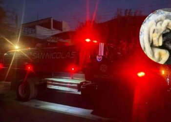 Se registra un incendio en vivienda de San Nicolás; autoridades rescatan a un can