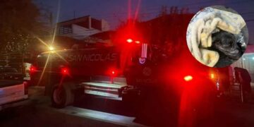 Se registra un incendio en vivienda de San Nicolás; autoridades rescatan a un can