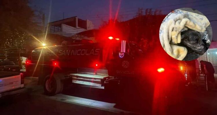 Se registra un incendio en vivienda de San Nicolás; autoridades rescatan a un can
