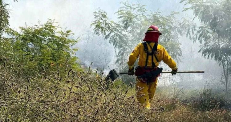 Incendio pastizal Monterrey