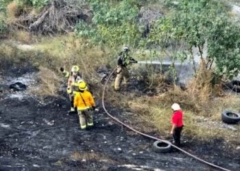 Rápida acción de Protección Civil ante incendio pastizales San Pedro evita riesgos mayores