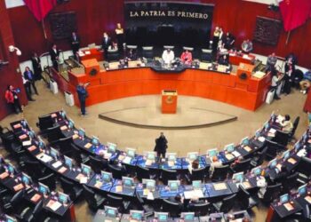 Senado Infonavit inquietud