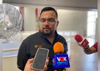Investigan presencia de felino en San Carlos, Tamaulipas