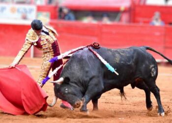 Jueza prohíbe el uso de instrumentos que lastimen a animales en la Plaza de Toros México