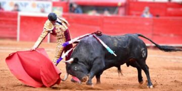 Jueza prohíbe el uso de instrumentos que lastimen a animales en la Plaza de Toros México