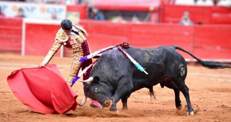 Jueza prohíbe el uso de instrumentos que lastimen a animales en la Plaza de Toros México