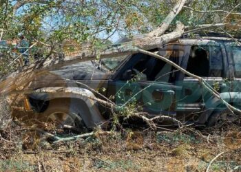 Mujer pierde el control y choca contra árbol en carretera El Abra - Los Aztecas, de Mante, Tamaulipas