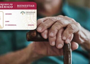Multas de tránsito en el Edomex ¿La tarjeta INAPAM te da descuento