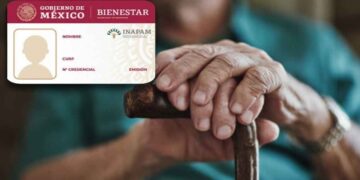Multas de tránsito en el Edomex ¿La tarjeta INAPAM te da descuento