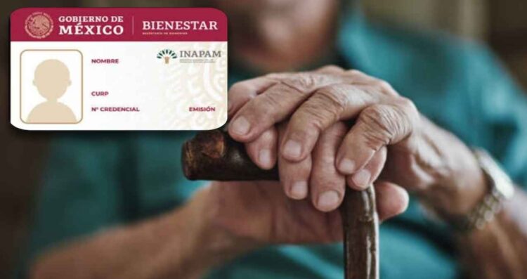 Multas de tránsito en el Edomex ¿La tarjeta INAPAM te da descuento