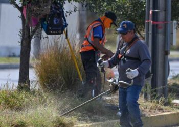 Municipio de Victoria limpia y conserva 35 mil metros lineales de avenidas y jardines