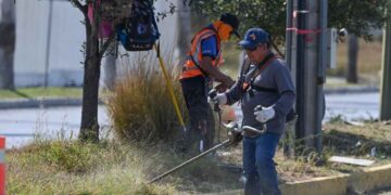 Municipio de Victoria limpia y conserva 35 mil metros lineales de avenidas y jardines