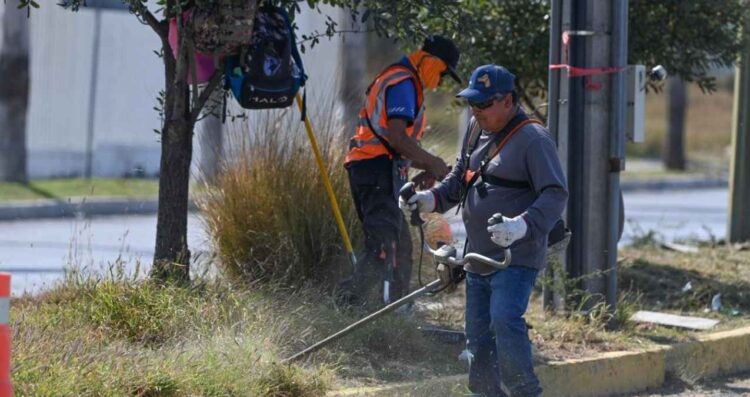Municipio de Victoria limpia y conserva 35 mil metros lineales de avenidas y jardines