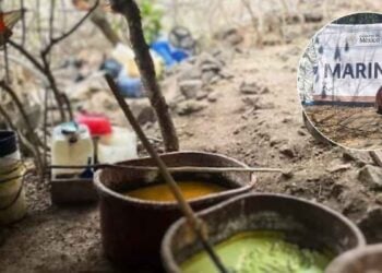 Desmantelan 27 narcolaboratorios en Sinaloa ¿Dónde estaban?