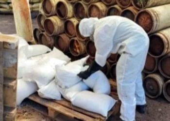 Operativo en Sinaloa destruye 20 narcolaboratorios en dos días