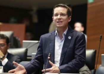 cárteles mexicanos oposición alerta