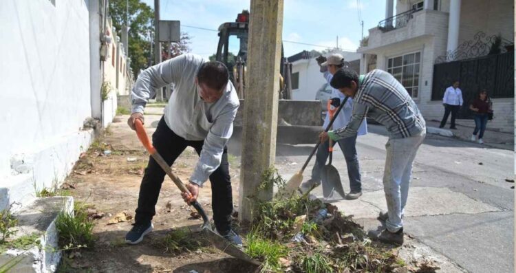 Preocupa a autoridades alta incidencia de casos de dengue en la zona sur de Tamaulipas