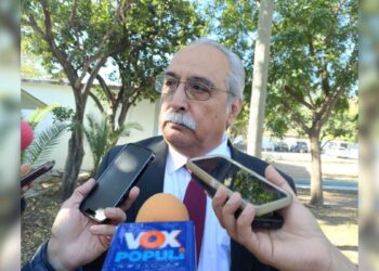 Producción de maíz blanco Tamaulipas