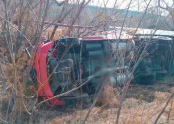 Tráiler cargado de fresas se vuelca en San Fernando, Tamaulipas